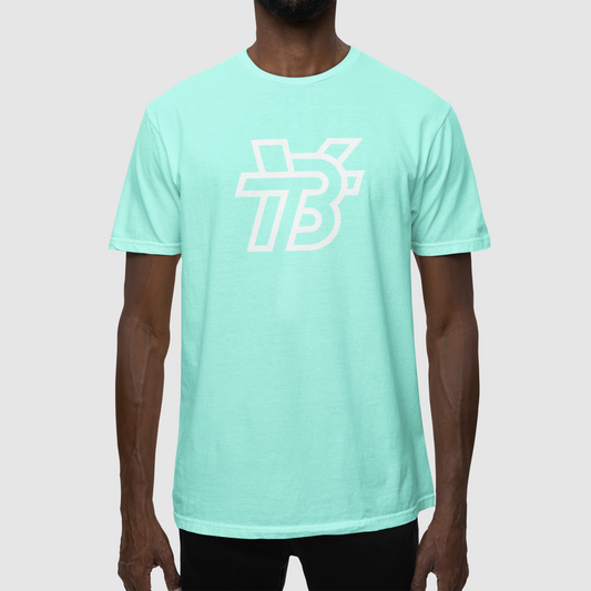 Teal BTY LOGO